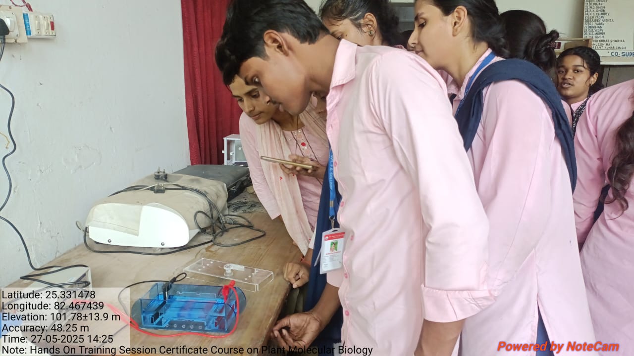 Campus Infrastructure – Plantation Drive